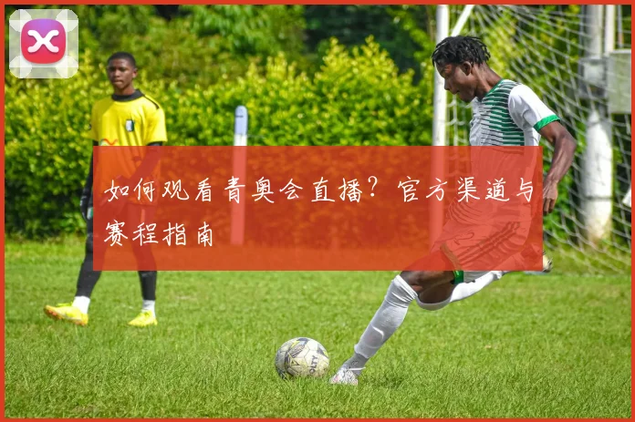 如何观看青奥会直播?官方渠道与赛程指南